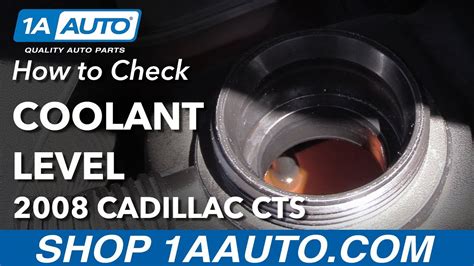 cadillac cts coolant|Coolant